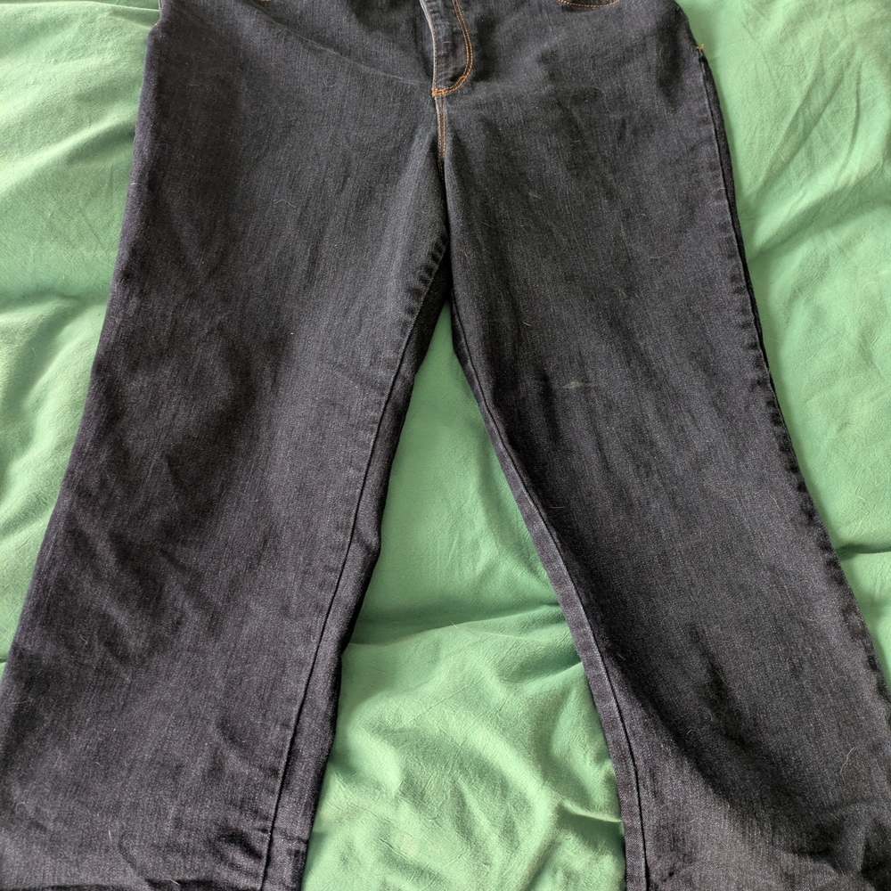 Gloria Vanderbilt Dark Blue Skinny Jeans 14P